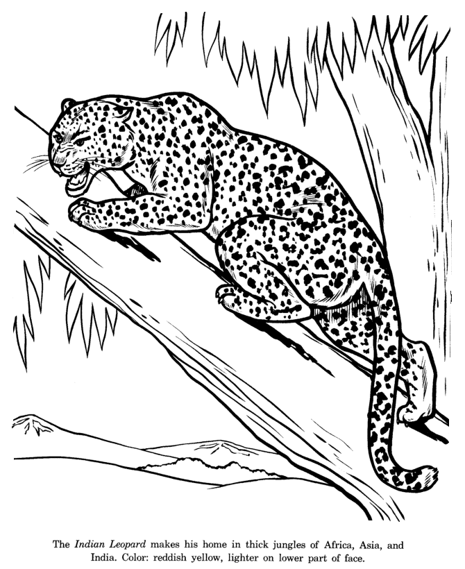 Printable Leopard Coloring Sheet