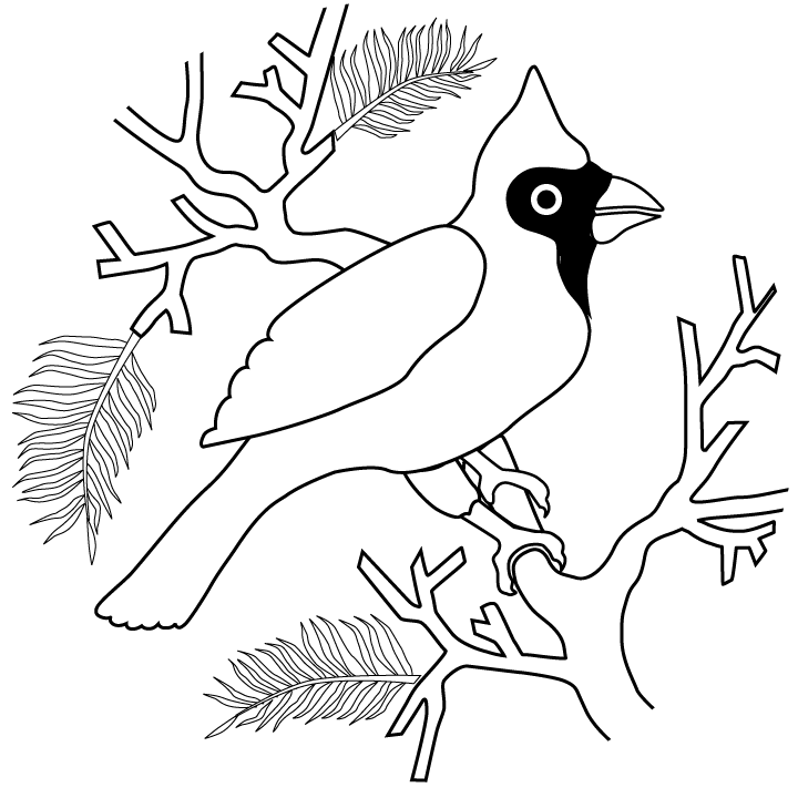 Winter Cardinal Coloring Page