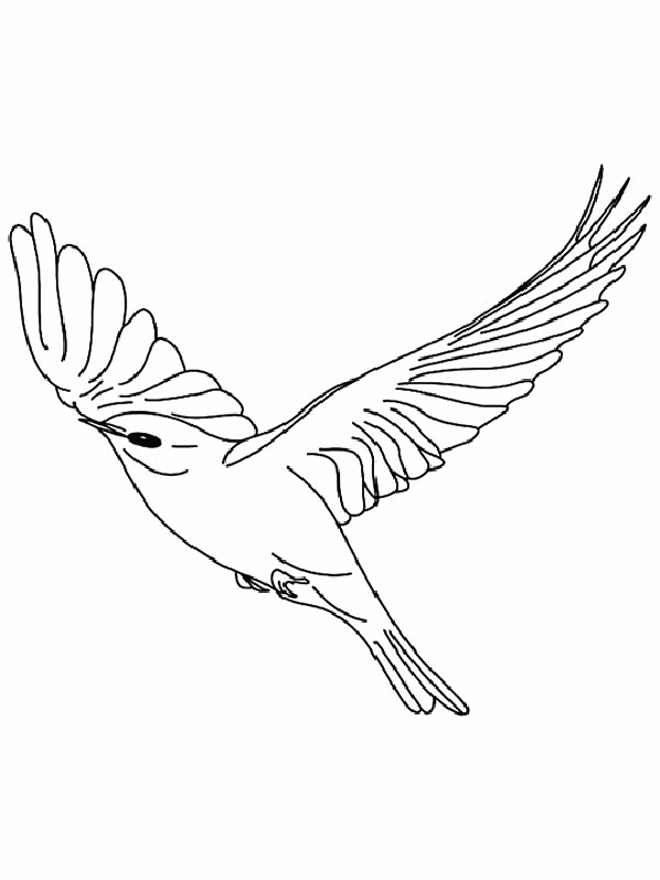 Canary Coloring Page