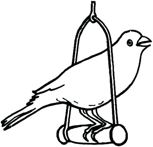 Canary On Perch Coloring Page