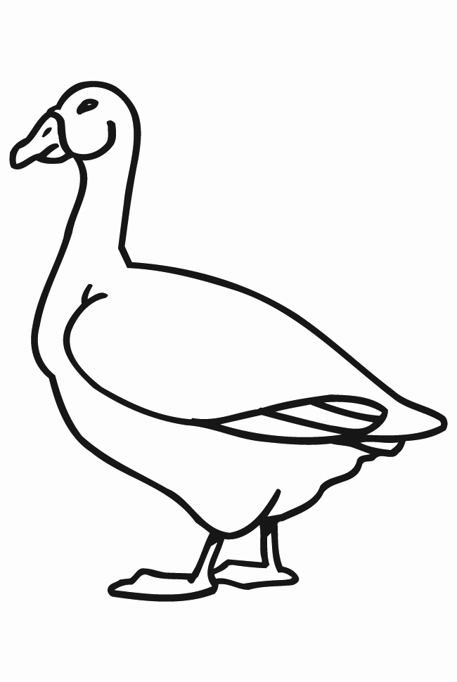 Easy Goose Coloring Pages