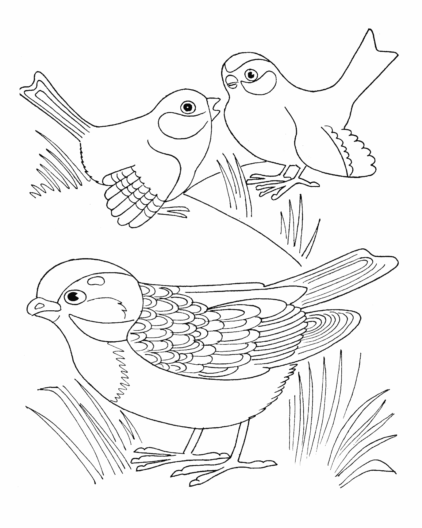 Family Of Sparrow Coloring Pages
