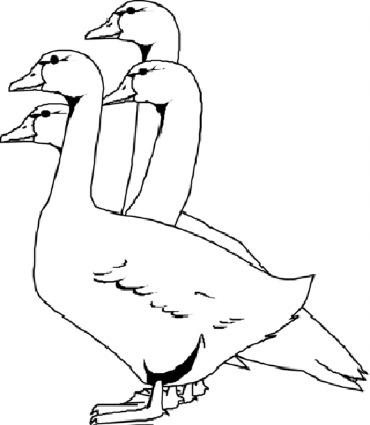 Geese Coloring Page