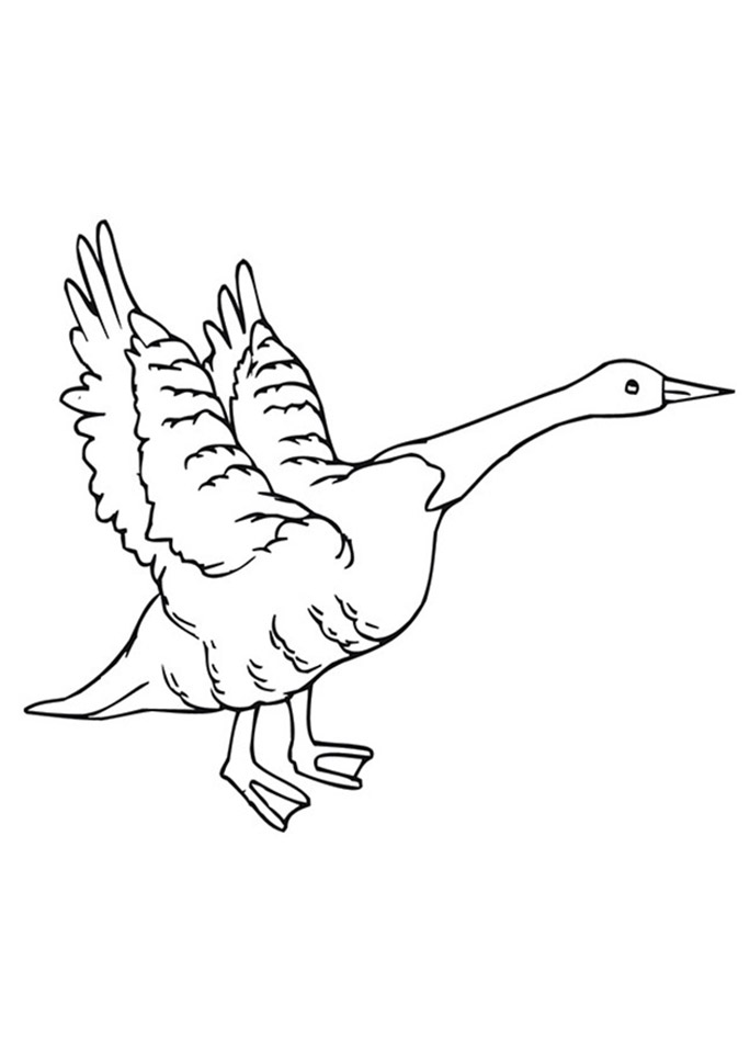 Goose Flying Coloring Page
