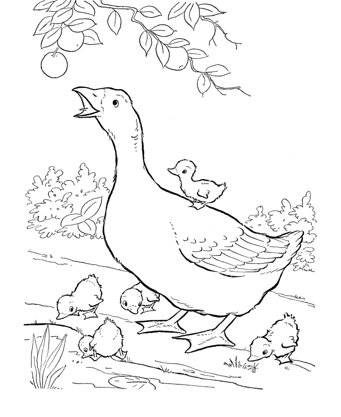 Honking Geese Coloring Page