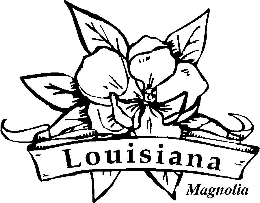 Louisiana Magnolia Coloring Page