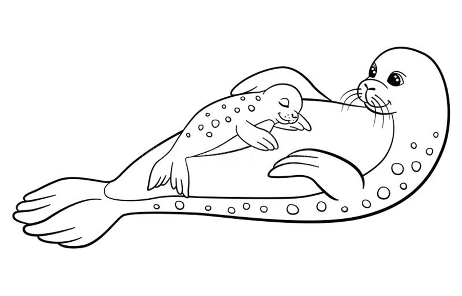 Mom And Baby Seal Coloring Pages