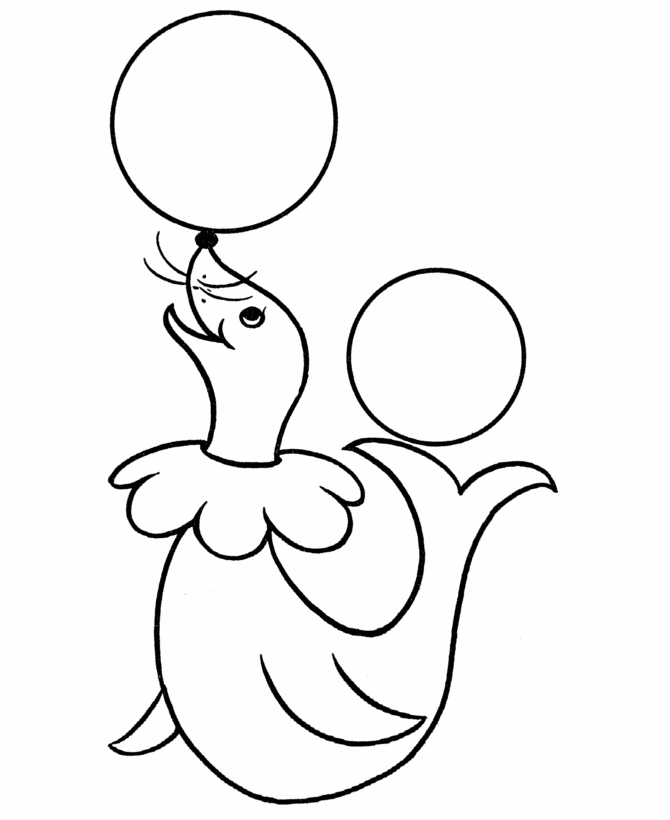Performing Seal Coloring Pages