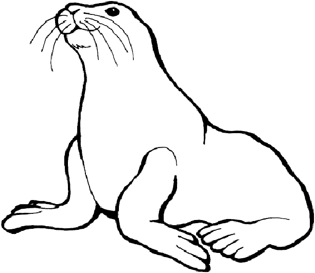 Seal Coloring Pages