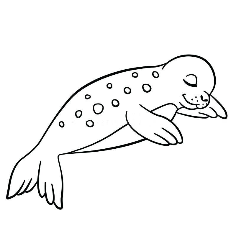 Sleeping Seal Coloring Pages