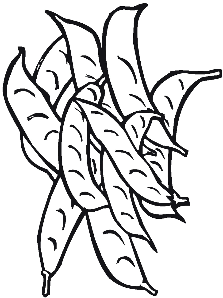 Bean Pods Coloring Page