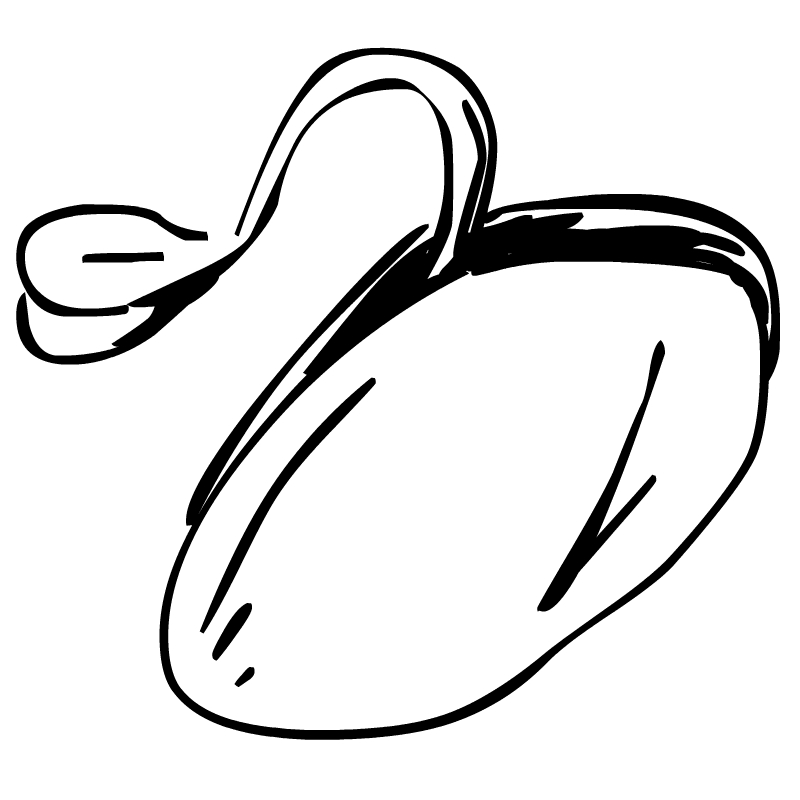 Bean Sprouting Coloring Page