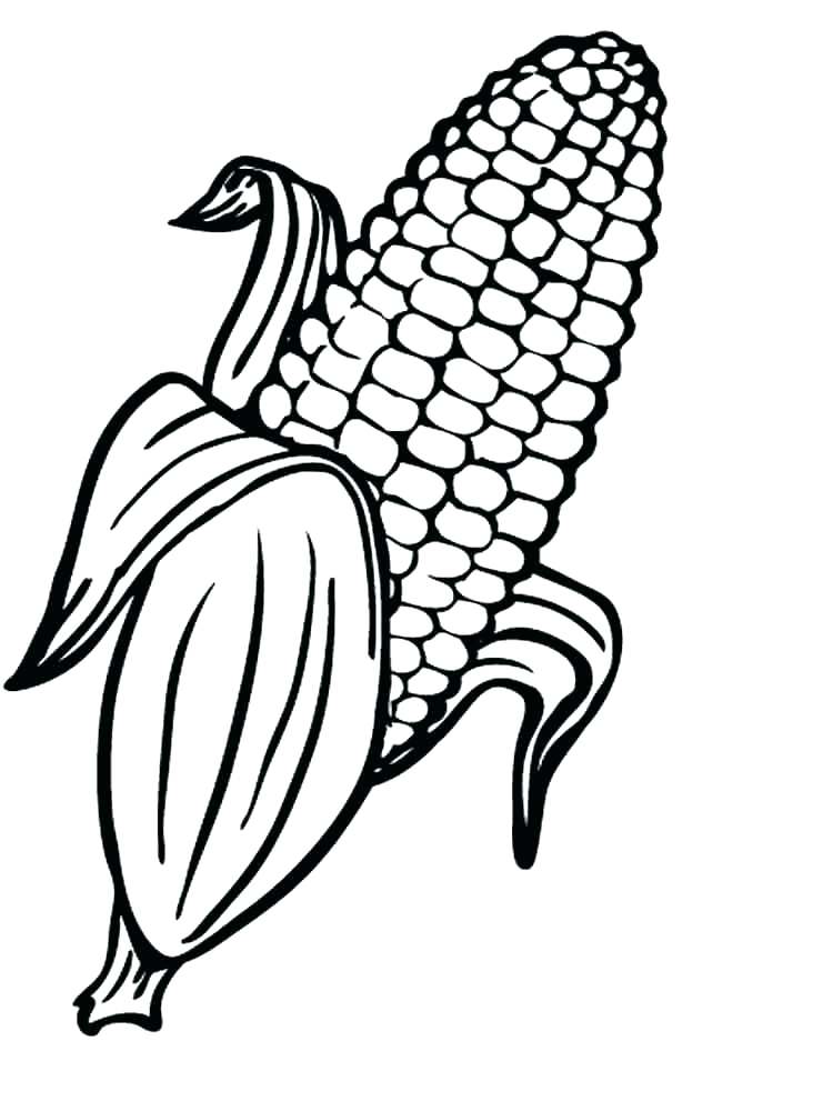 Corn Template Preschool