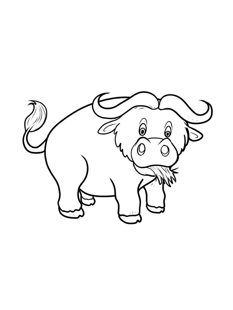 Buffalo Coloring Pages - Best Coloring Pages For Kids