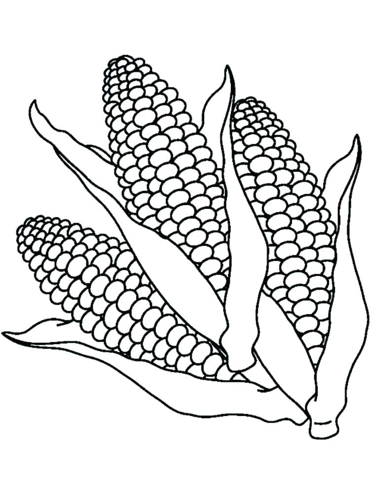 Ears Of Corn Coloring Page