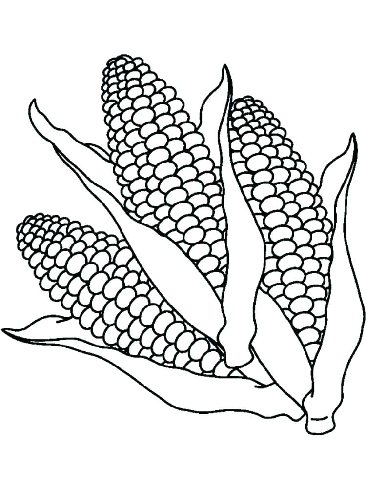 20-corn-coloring-pages-ashwanisalah