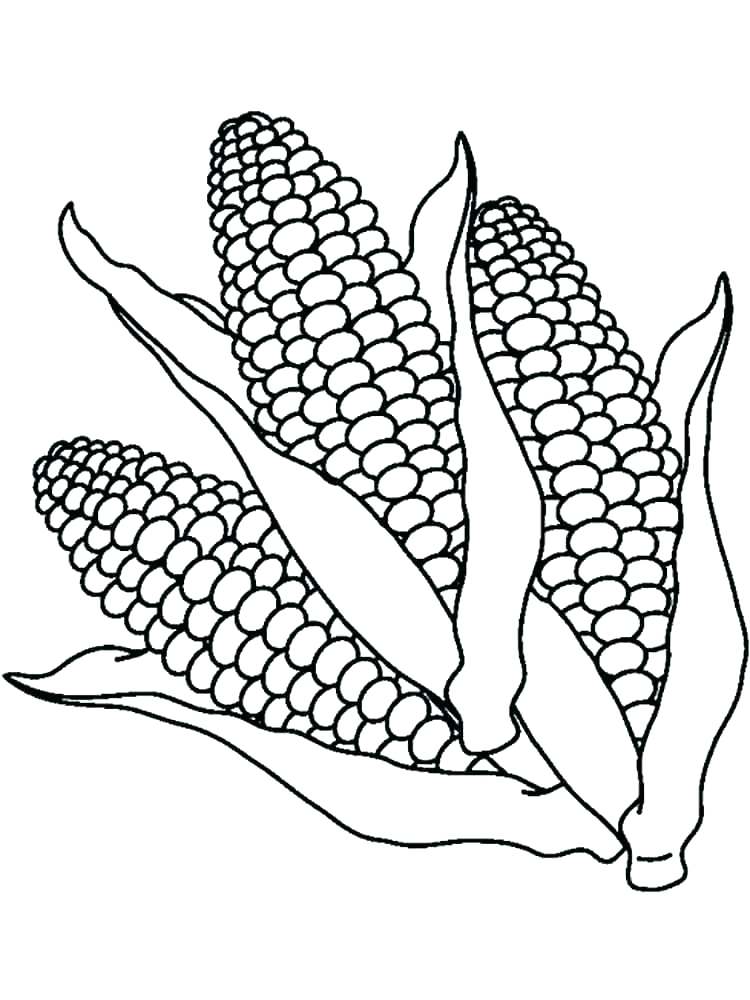 Ear Of Corn Coloring Page Free Printable Coloring Pages Clip Art 