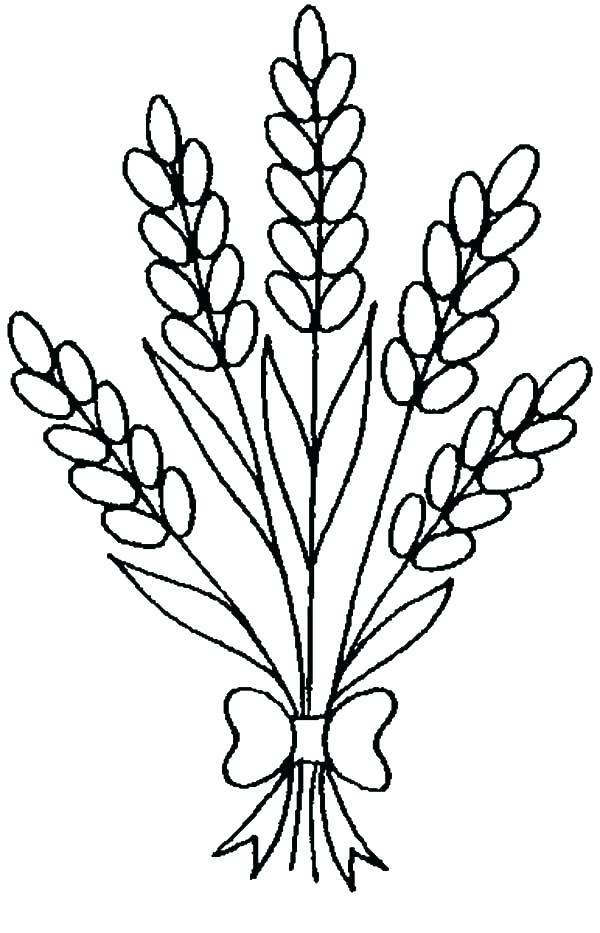 Easy Lavender Coloring Pages
