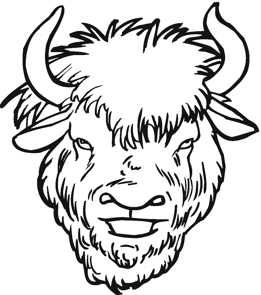 Furry Buffalo Head Coloring Pages
