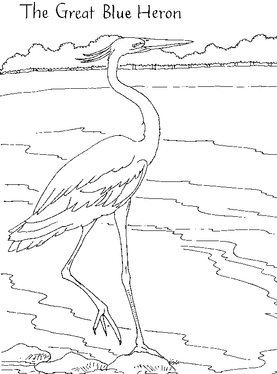 Great Blue Heron Coloring Pages