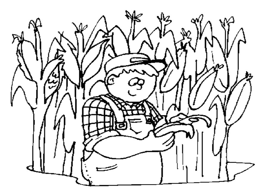 Harvesting Corn Coloring Page