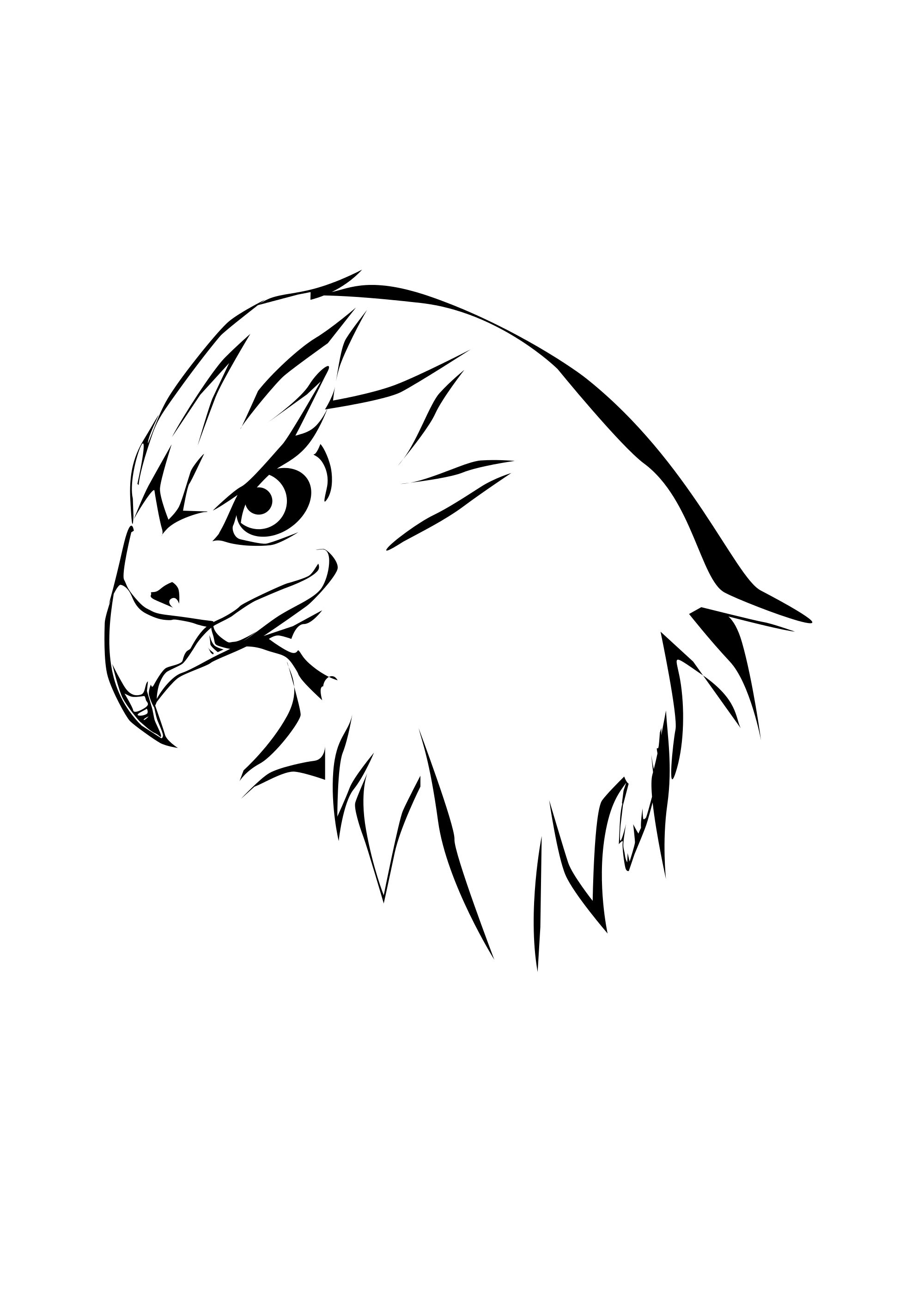 hawk head coloring page