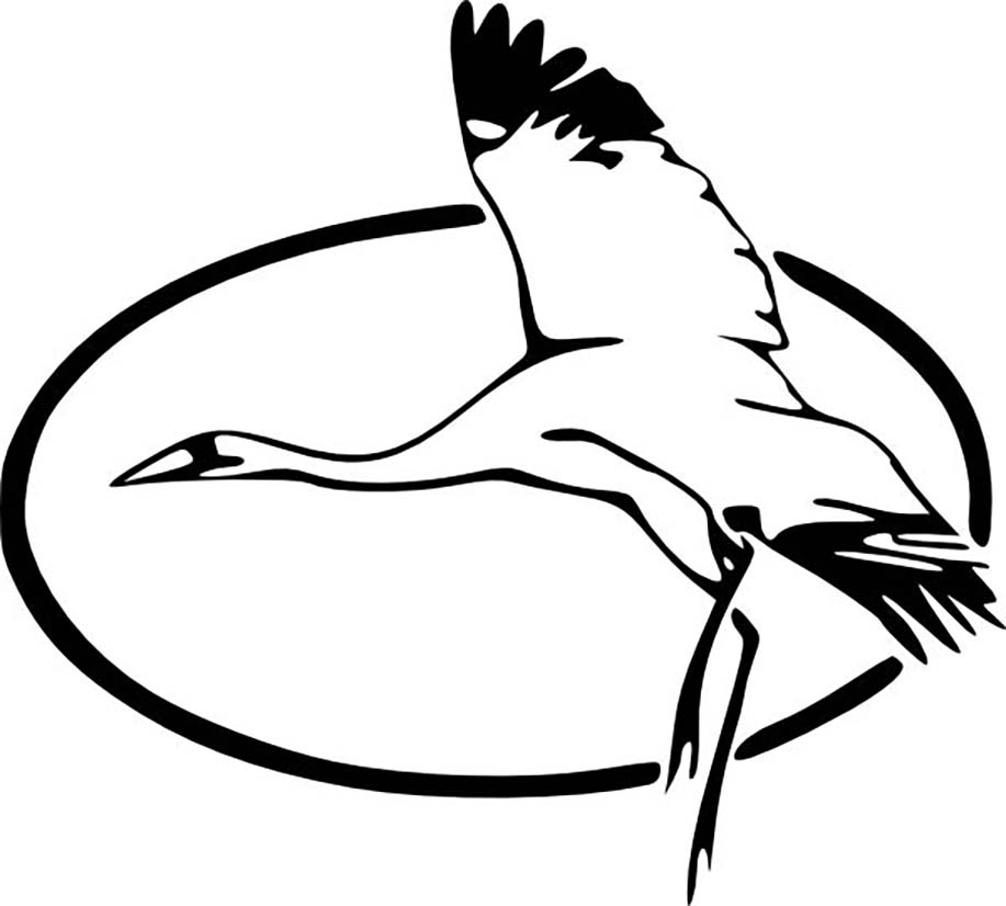 Heron In Flight Coloring Page