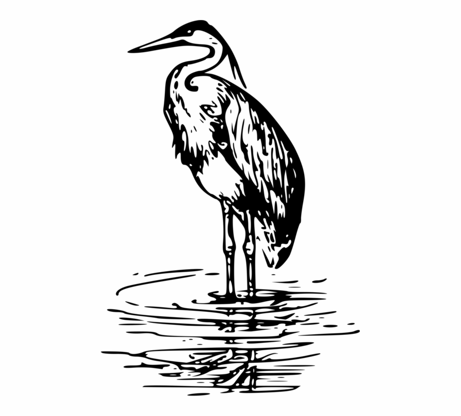 heron-coloring-pages-best-coloring-pages-for-kids