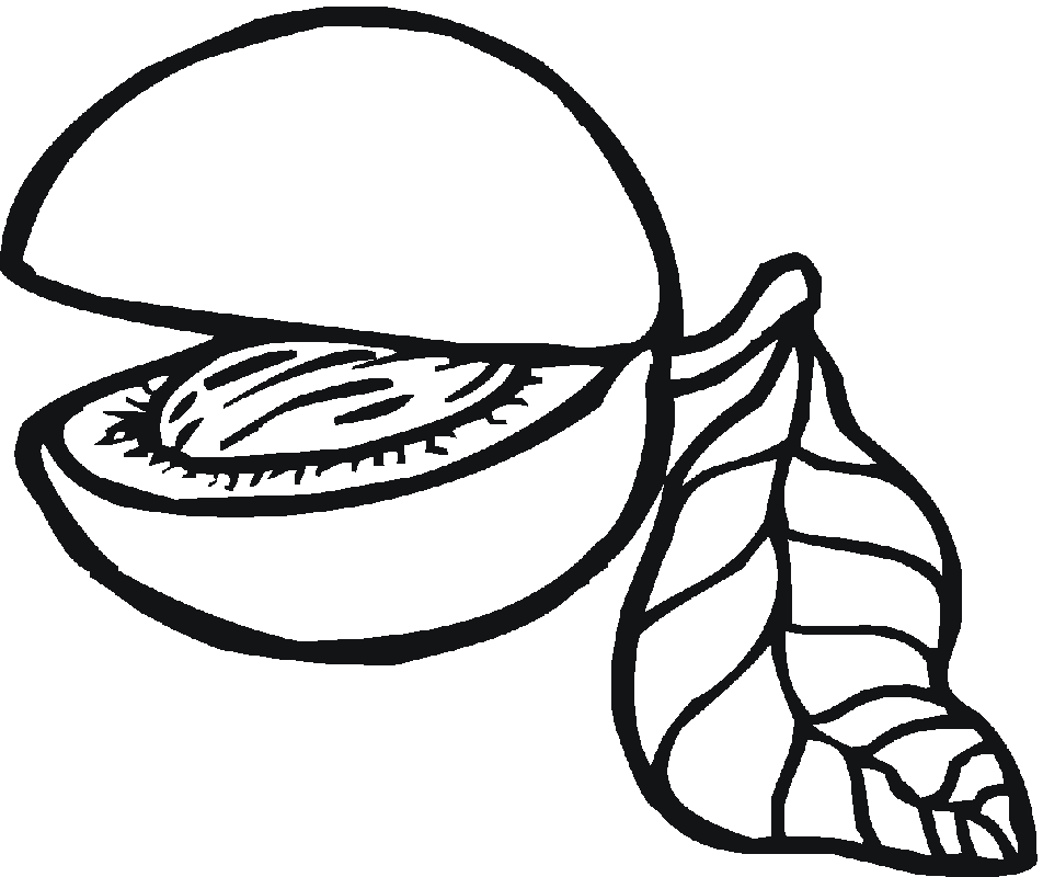Open Peach Coloring Page