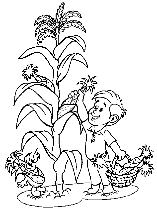 Picking Corn Coloring Pages