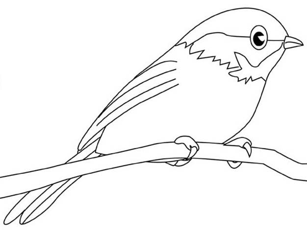 Simple Chickadee Coloring Page