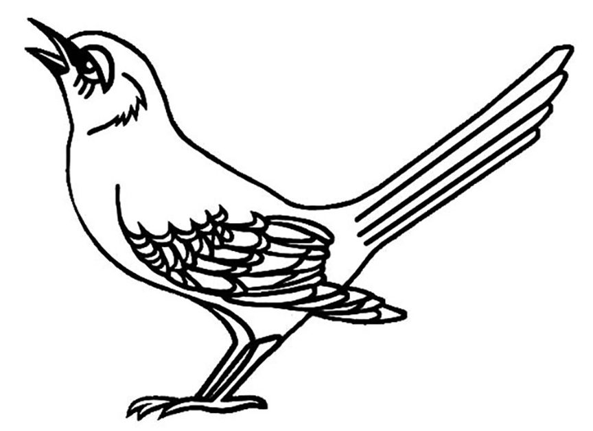 Mockingbird Coloring Pages - Best Coloring Pages For Kids