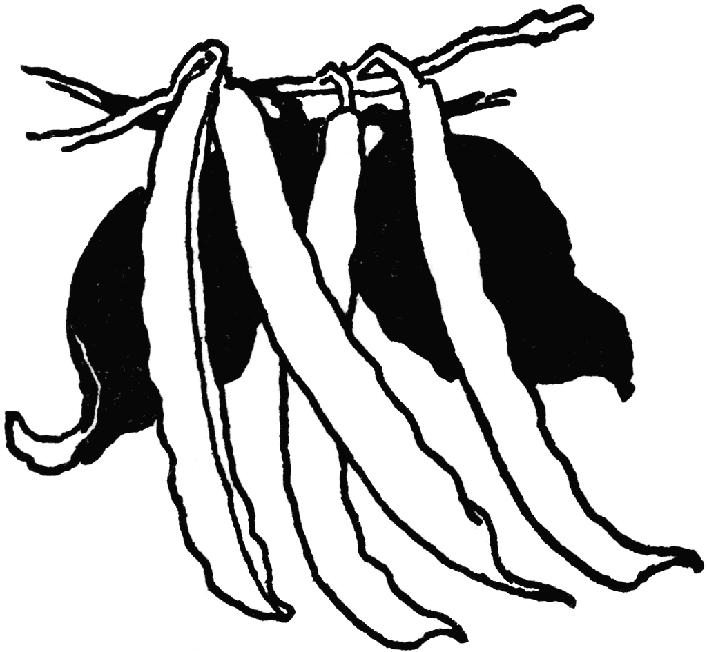 String Beans Coloring Page