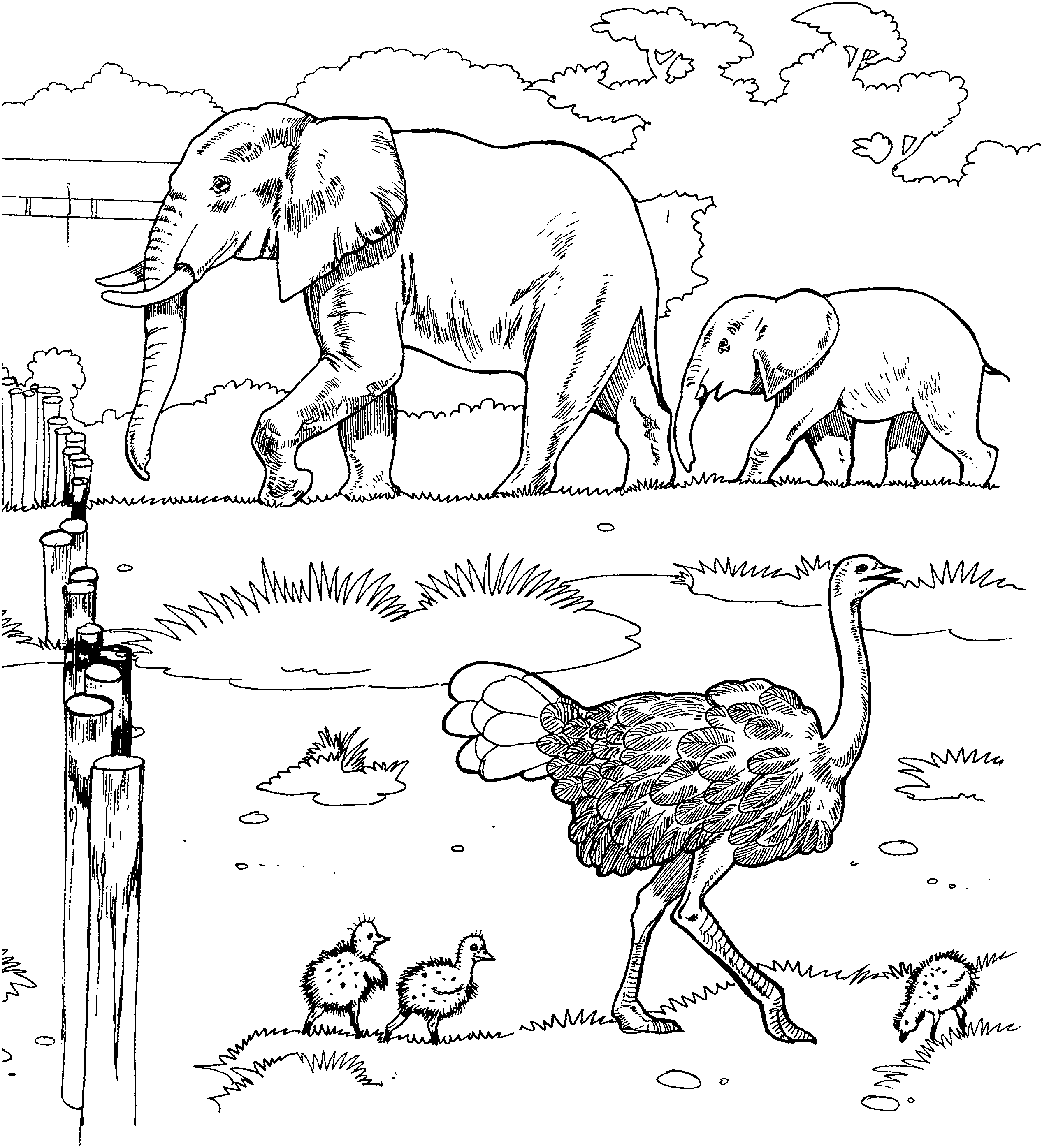 africa coloring pages