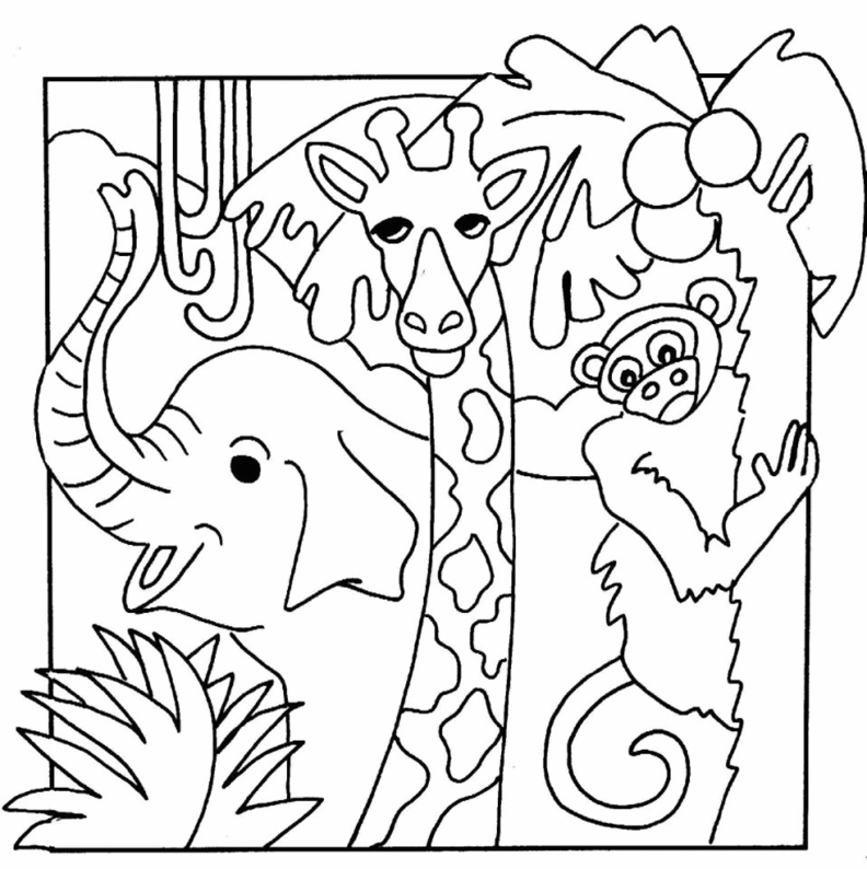 African Jungle Animals Coloring Page