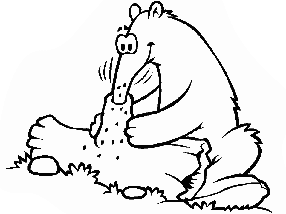 Anteater Hunting Coloring Pages