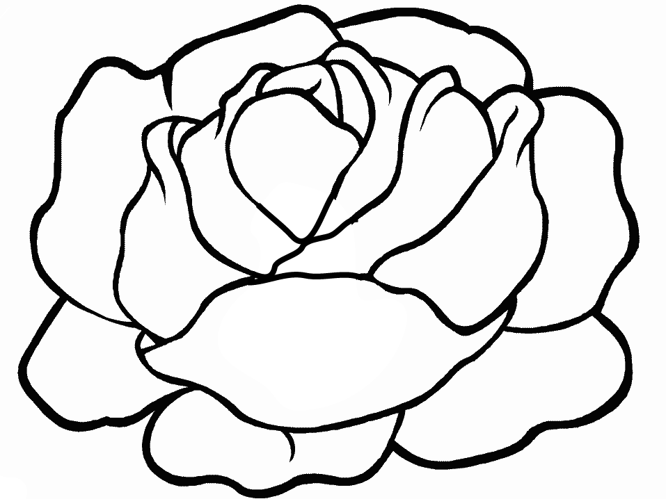 Butternut Lettuce Coloring Page