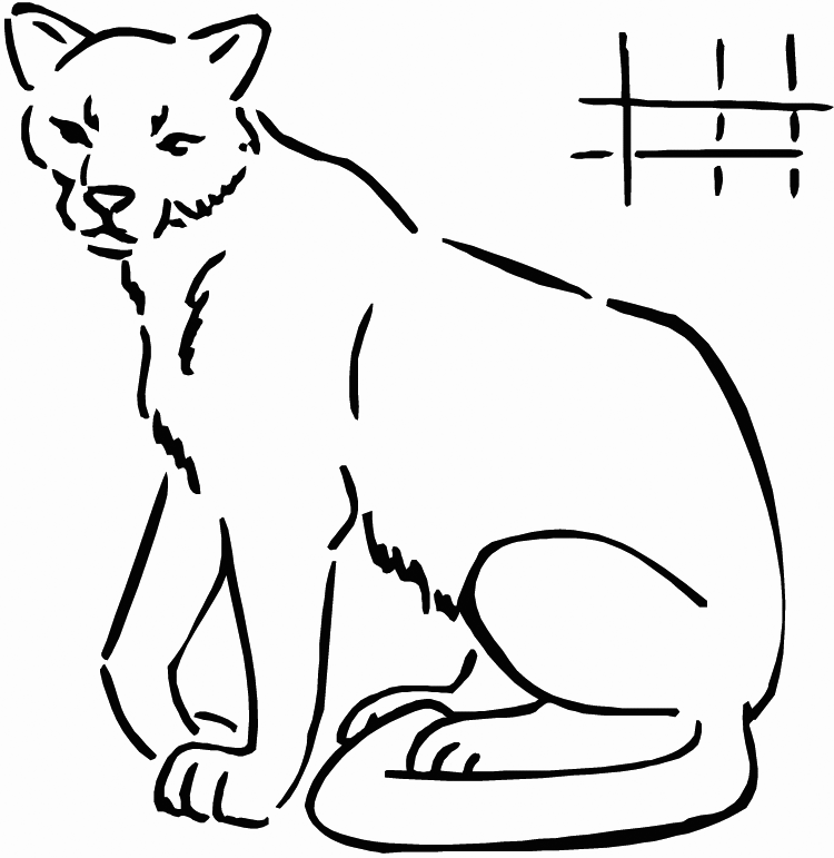 Cougar Coloring Pages