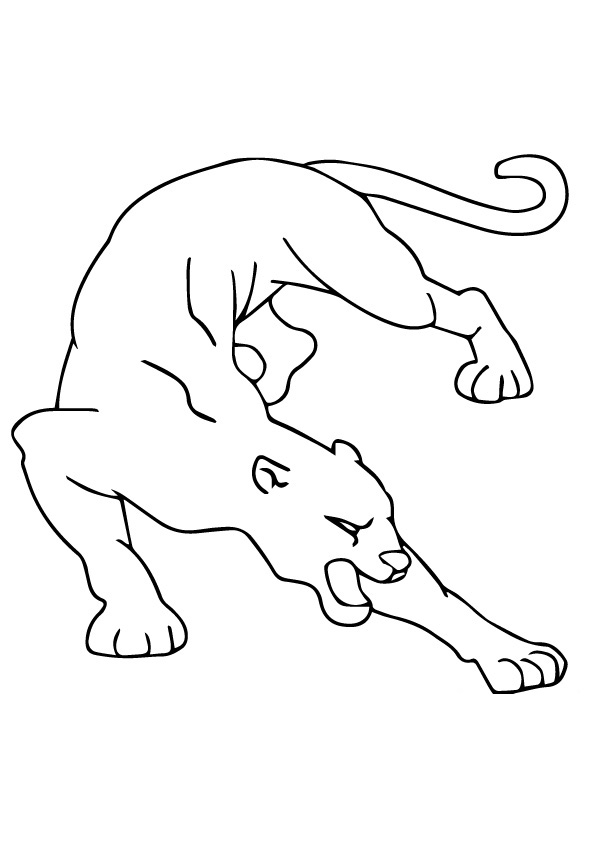 Cougar Coloring Pages - Best Coloring Pages For Kids