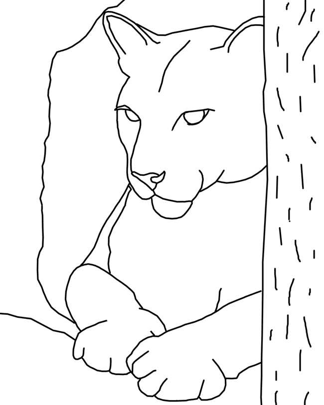 Cougar Den Coloring Page