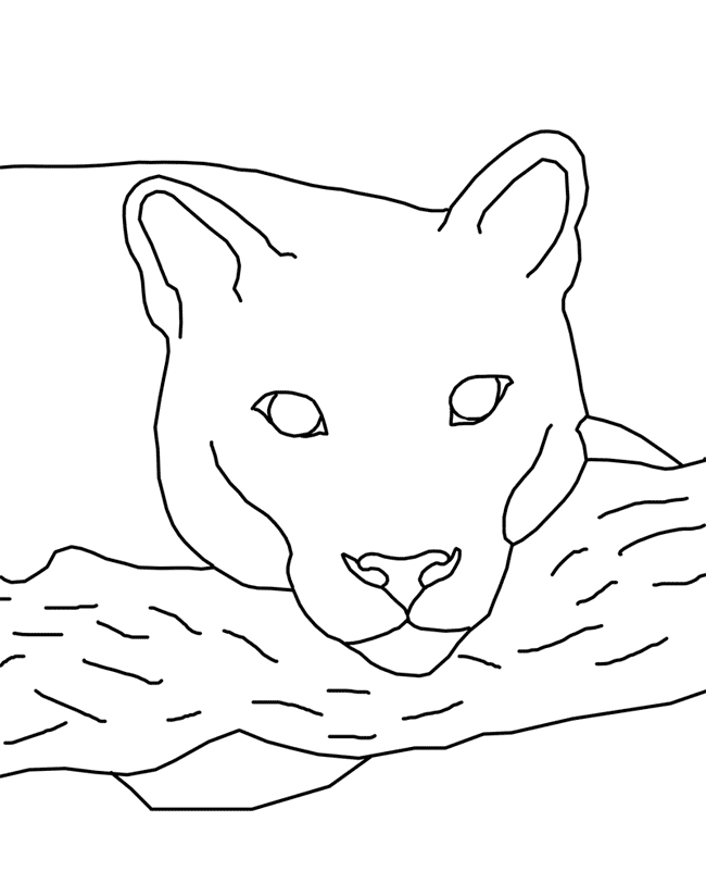 Cute Cougar Coloring Pages