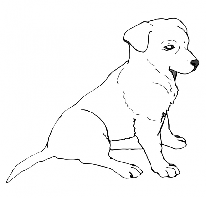 Labrador Coloring Pages - Best Coloring Pages For Kids