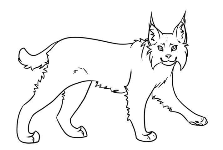 Easy Lynx Coloring Page