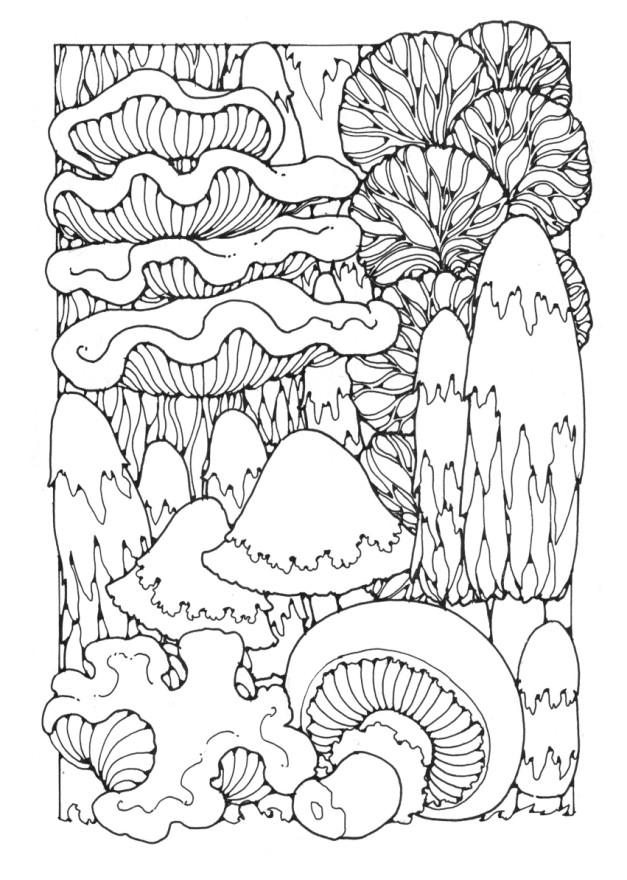 Mushroom Forest Coloring Page