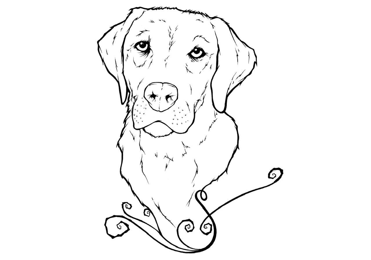 coloring pages of labrador retrievers