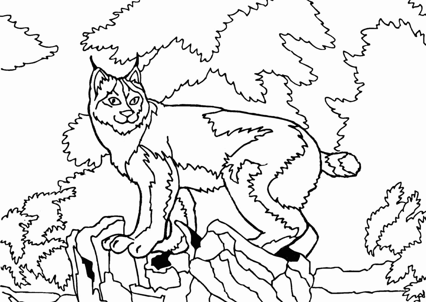 Lynx Cat Scene Coloring Pages