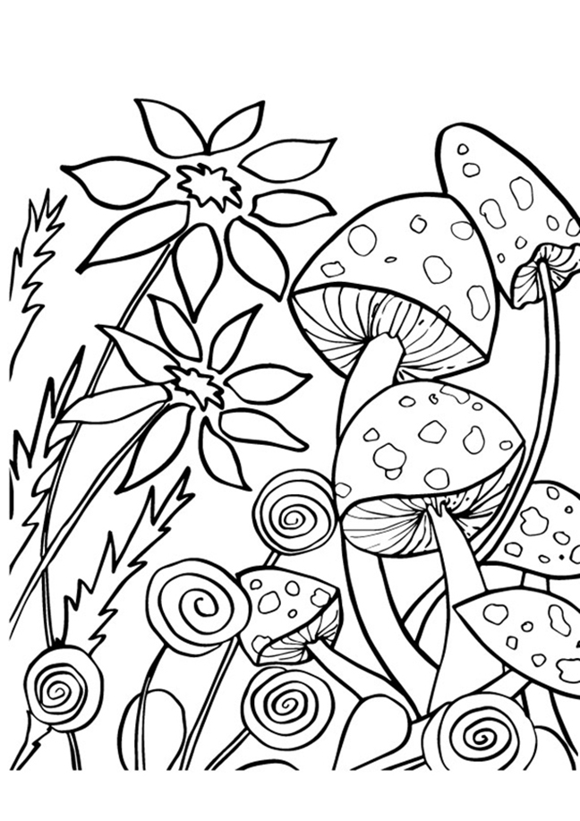 Simple Mushroom Coloring Pages Coloring Pages