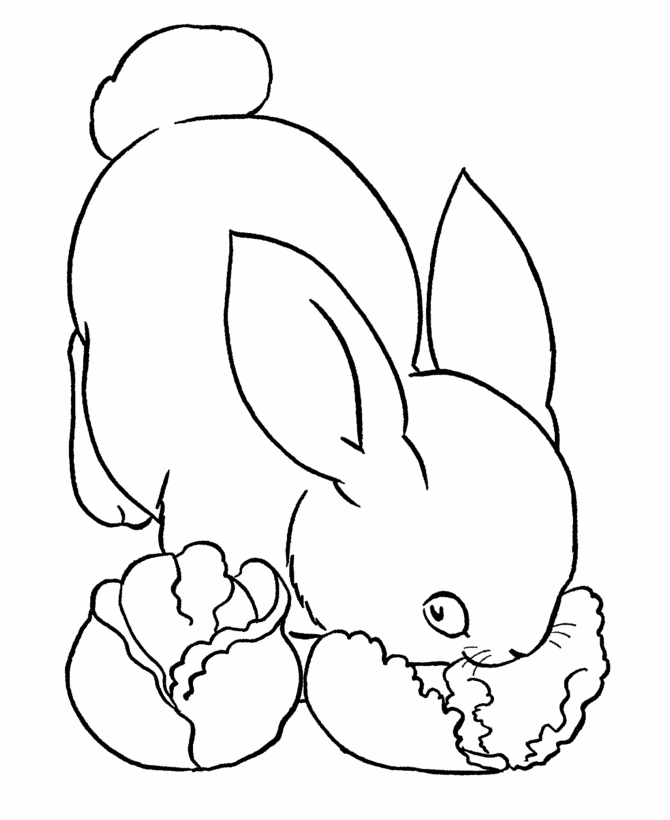 Rabbit Eating Its Lettuce Coloring Page