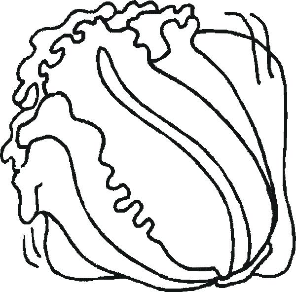 lettuce coloring page