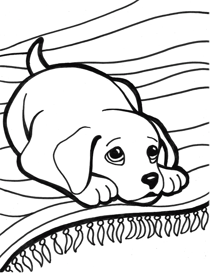 Sweet Baby Labrador Coloring Page